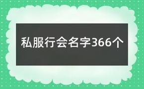 私服行会名字366个