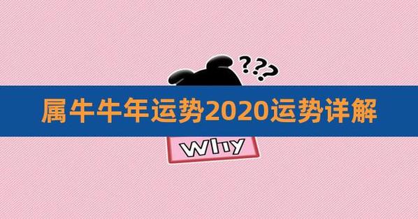 属牛牛年运势2023运势详解