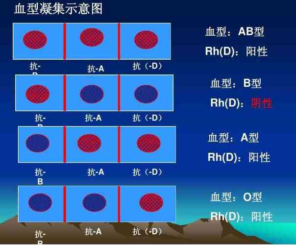 4大血型寿命排行榜公布,b型血平均寿命并非最长 - 姐妹邦