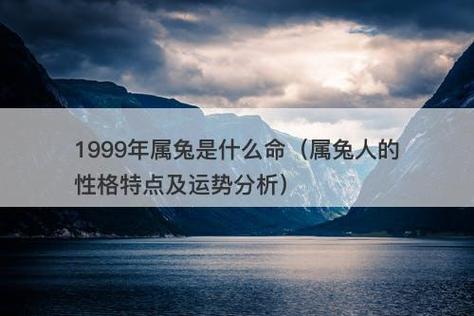 1999年属兔是什么命(属兔人的性格特点及运势分析)-图1