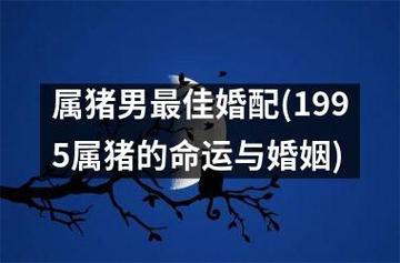 属猪男最佳婚配(1995属猪的命运与婚姻)