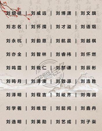 刘姓00分的男孩名字,刘姓男宝宝取名大全2023款图1