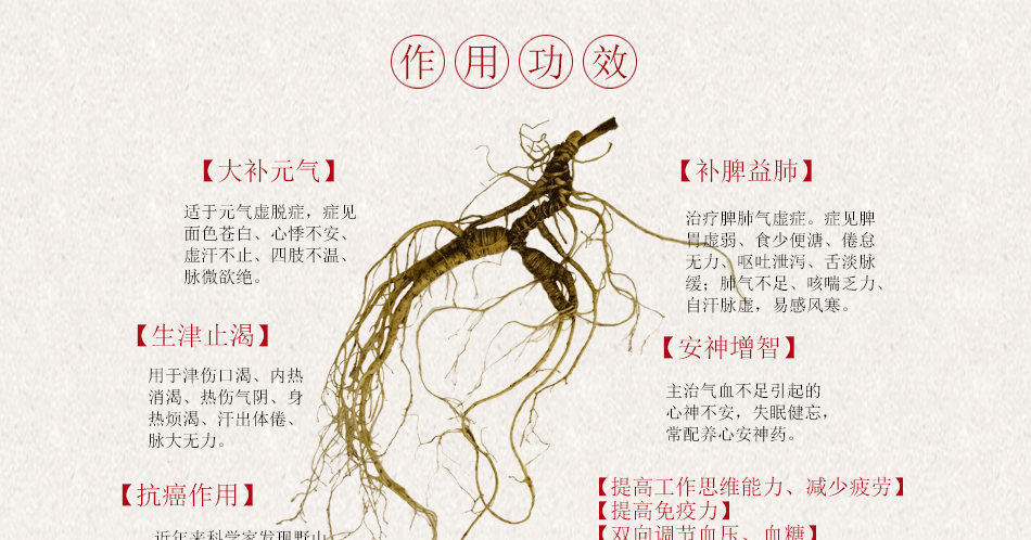 野山参的功效与作用吃法