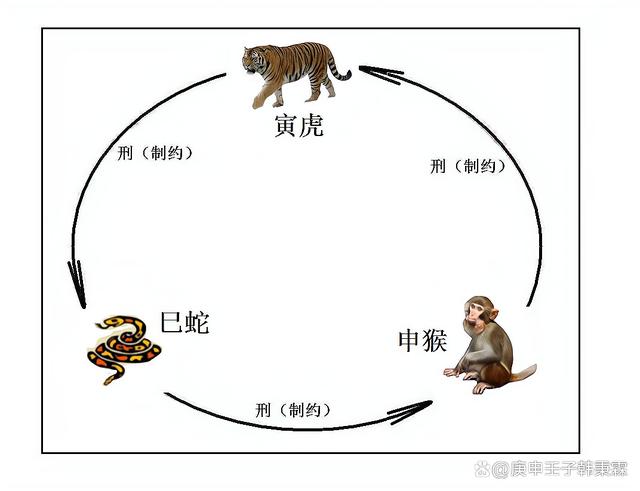 所以,属虎蛇猴的人到一起是相互制约(三刑)的.