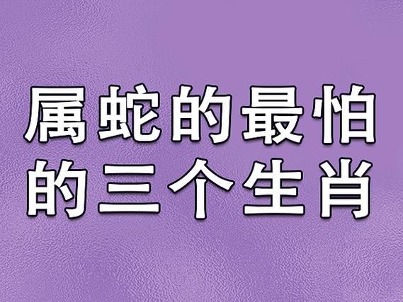 属羊的猪年_属羊猪的出生年_属猪羊的年份