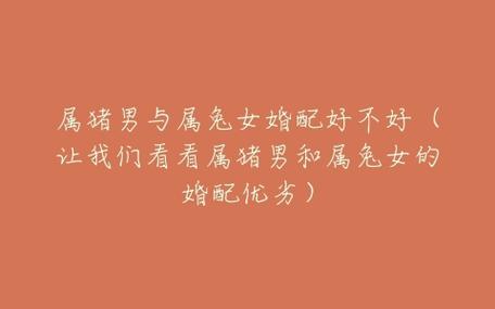 属猪男和属兔女在婚姻中都很有包容心和耐心,能够相互理解,支持和关爱