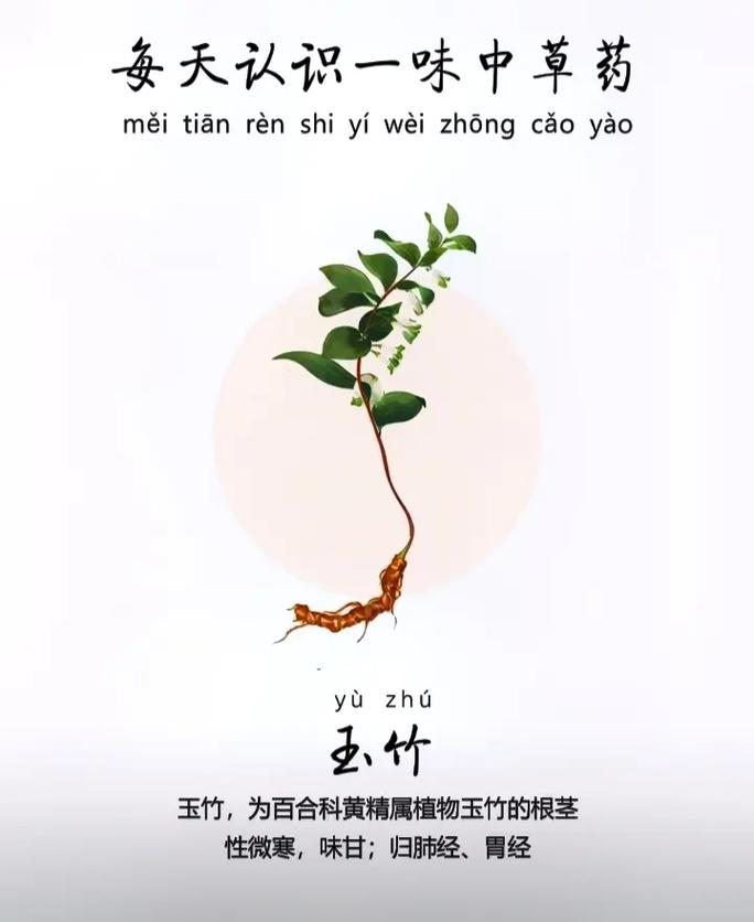 92玉竹,为百合科黄精属植物玉竹的根茎 7815【别名】葳蕤,萎