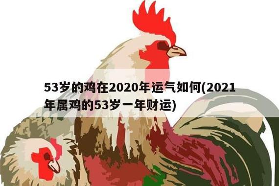 2023年属鸡人的全年运势,鸡年运势2023年运势如何