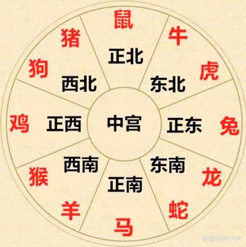 属兔的年份表(属兔运程)