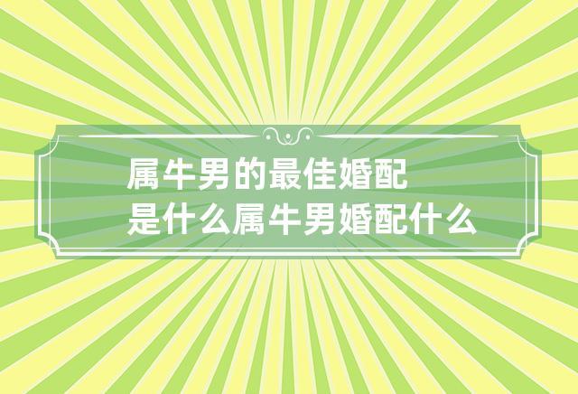 属牛男的最佳婚配是什么 属牛男婚配什么属相最好