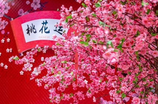 2023桃花运,八字桃花星,12生肖桃花位