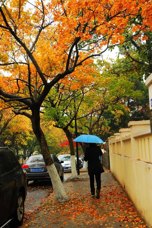 绵绵秋雨中