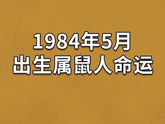 1984年5月出生属鼠人命运(农历,爱情,事业运势解析)_吉星堂