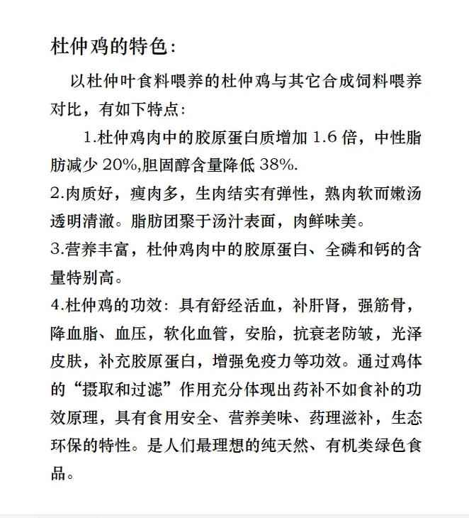 杜仲鸡蛋的特殊功效:对孕产妇有安胎利尿,优质蛋白质提供胎儿生 - 抖