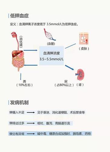 人体缺钾会有哪些危害应该如何补钾