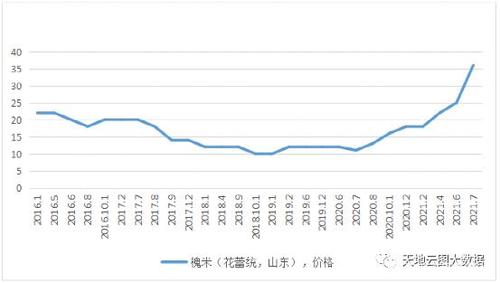 槐米2023-2023年市场价格走势图