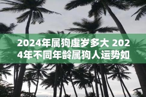 2024年属狗虚岁多大 2024年不同年龄属狗人运势如何