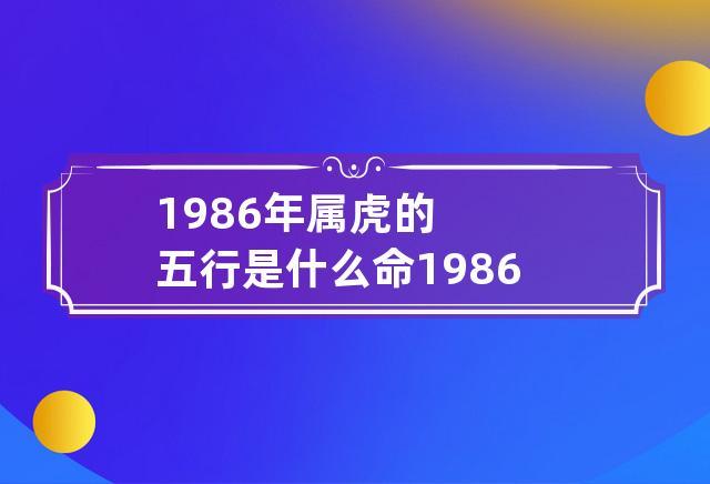 1986年属虎的五行是什么命 1986年属虎的人五行属什么的