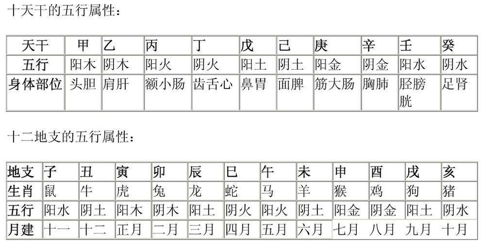 天干地支五行查询 天干地支属性对照表