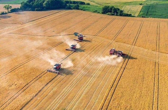 美国大农场成标杆耕地多出45亿亩为何粮食产量却不如中国