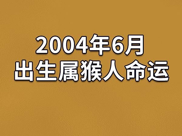 2004年6月出生属猴人命运