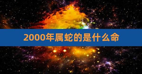 2000年属蛇的是什么命