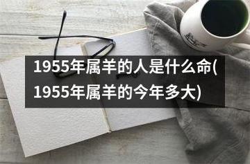 1955年属羊的人是什么命(1955年属羊的今年多大)