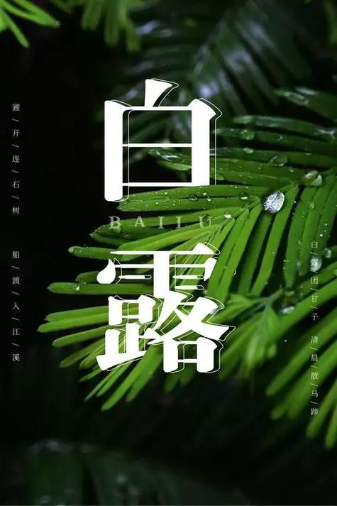 慧分享 | 今日白露(白露日历)