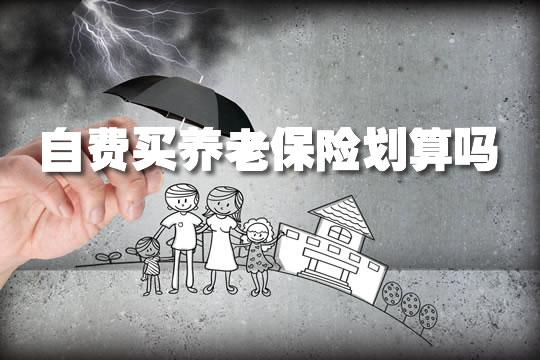 自费买养老保险划算吗2023,自费买养老保险划算吗?