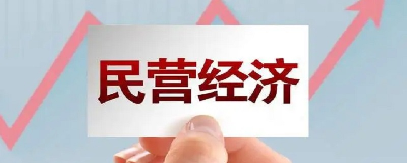 民营企业是什么意思(企业性质在哪里可以查)