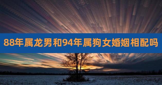 88年属龙男和94年属狗女婚姻相配吗,88年属龙女跟94年属狗男配吗