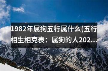 1982年属狗五行属什么(五行相生相克表:属狗的人2023年运势如何?