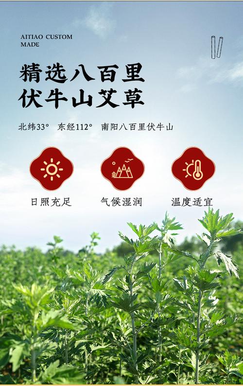 艾条的功效与作用 艾灸哪里可以紧致脸部