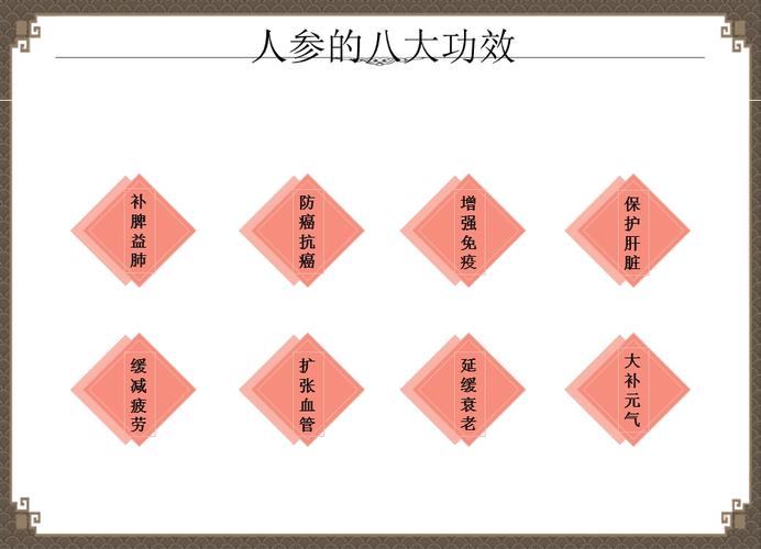 人参的功效作用及食用方法ppt课件.pptx_第3页