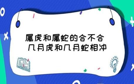 属虎和属蛇的合不合 几月虎和几月蛇相冲