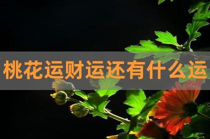 桃花运财运还有什么运,测一下今年的财运如何,求桃花运,财运