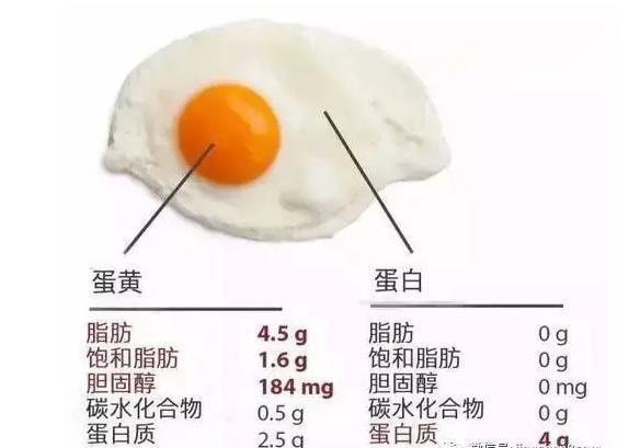 鸡蛋当中所含有的蛋白里只有大量的蛋白质,只有全蛋的蛋白质利用率会