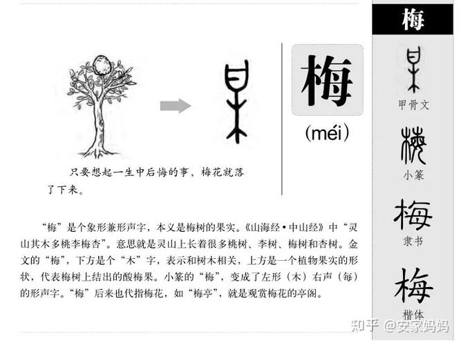 怎么和孩子解释汉字起源