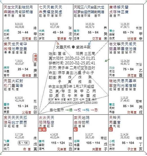 自学命理不求人 介绍紫微斗数