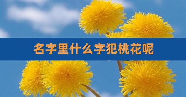 名字里什么字犯桃花呢