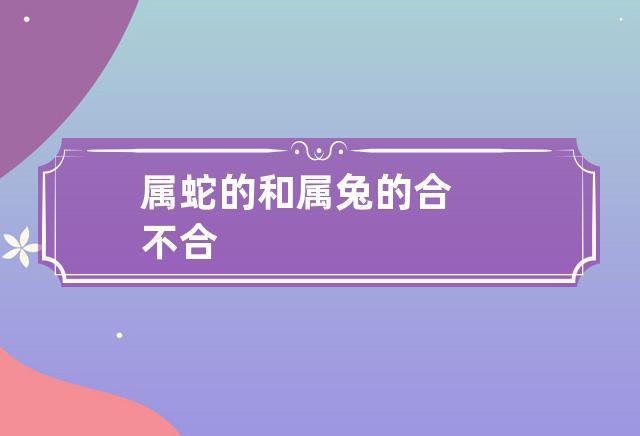 属蛇的和属兔的合不合