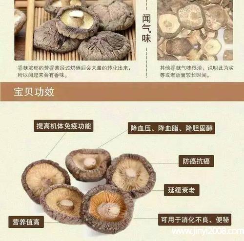 好品中国超级“蘑”力不可“菇”量(香菇的功效与作用)