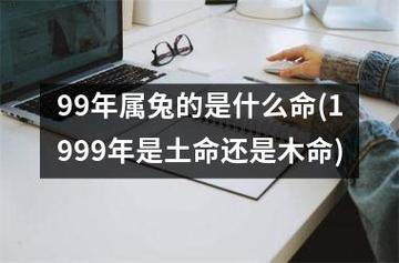 99年属兔的是什么命(1999年是土命还是木命)