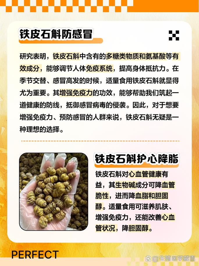 铁皮石斛的功效与作用 家人们,今天我要和大家聊聊一种非常珍贵的中