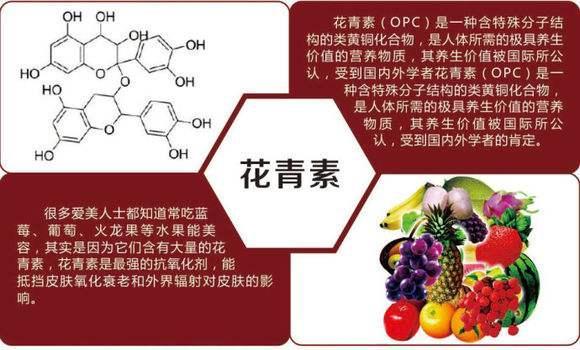 火龙果吃完皮别丢, 这玩意里面有稀有的营养物质