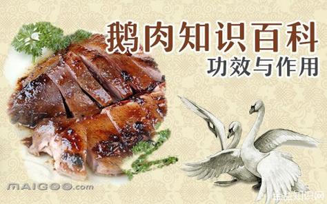 吃鹅肉的功效与作用