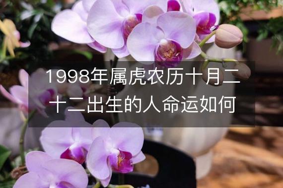 1998年属虎农历十月二十二出生的人命运如何,生辰八字分析