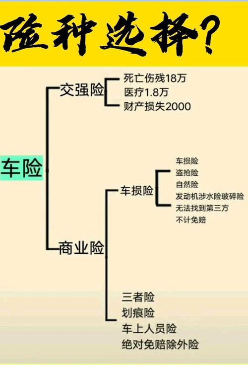 新车保险该怎么买?来给你解答一下