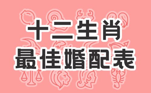 属相搭配、十二生肖搭配大揭秘！ 属马的和什么属相最配