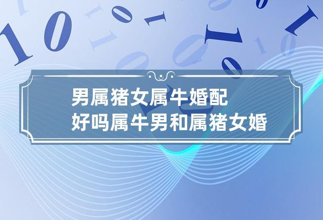 男属猪女属牛婚配好吗 属牛男和属猪女婚配怎么样